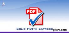 Solid PDFA Express